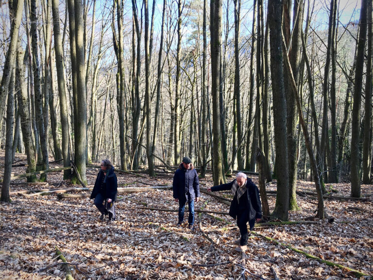 Art/Science-Festivals „Schlechter Geschmack“